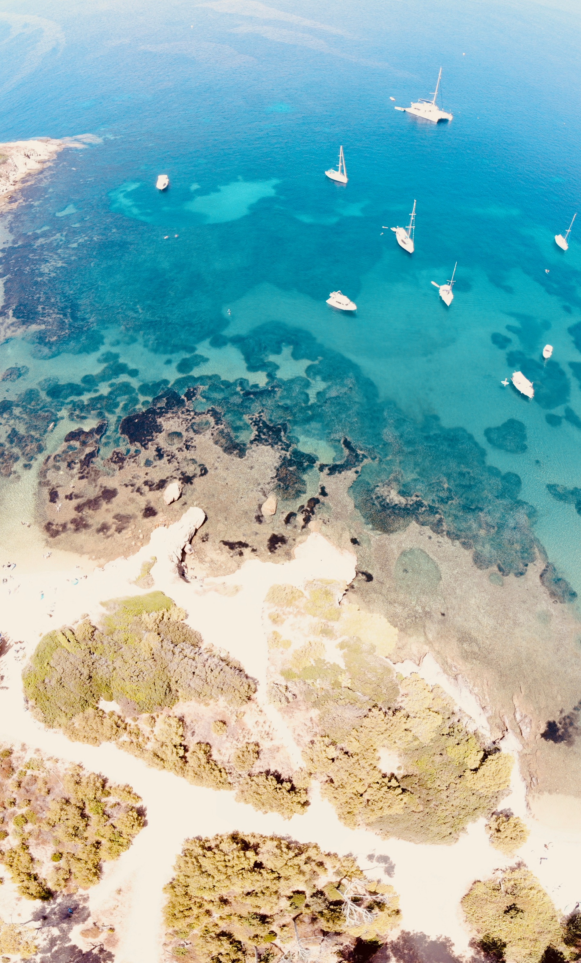 DocEval Terminale Générale Fonction ln